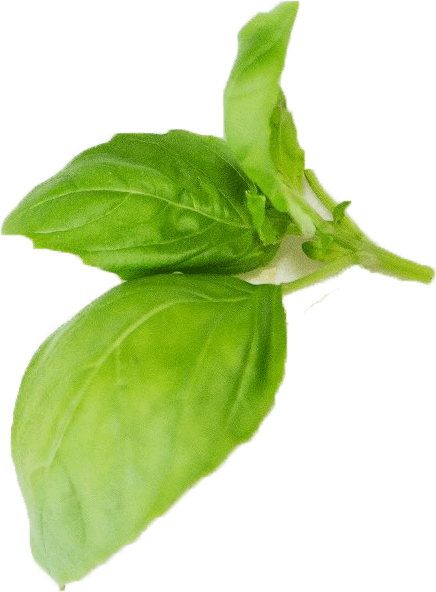 leaf small